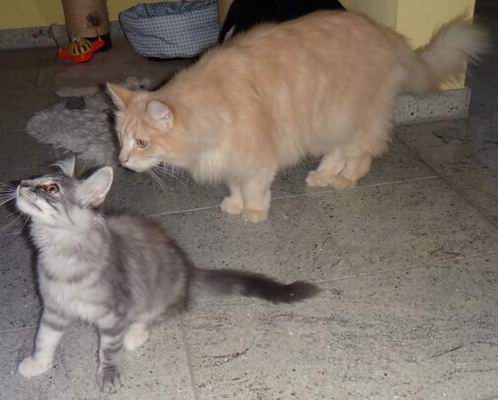 copyright: Sylvie & Marco