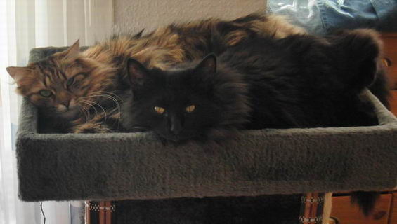 copyright: Klaus & Diana