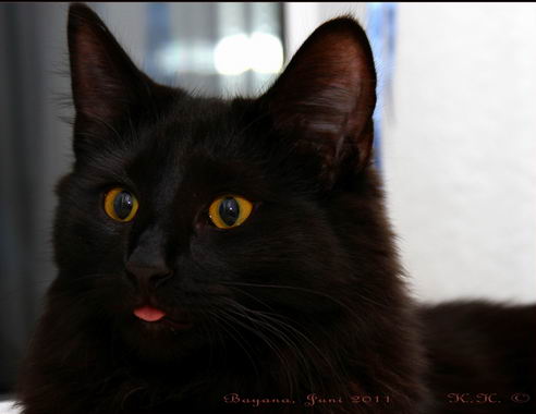 copyright: Klaus & Diana