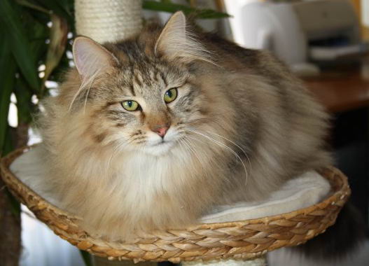copyright: Margret Breidenbach