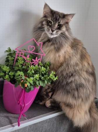 copyright: Heidi und Norbert