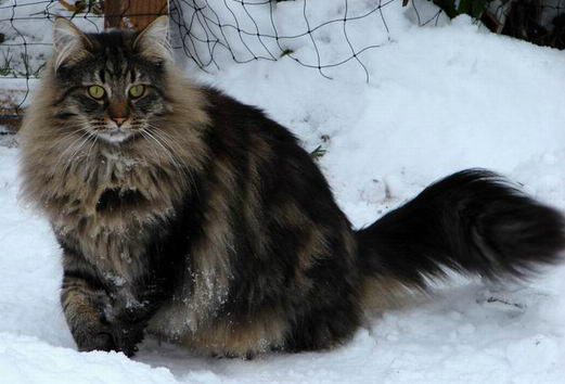 copyright: Birgit