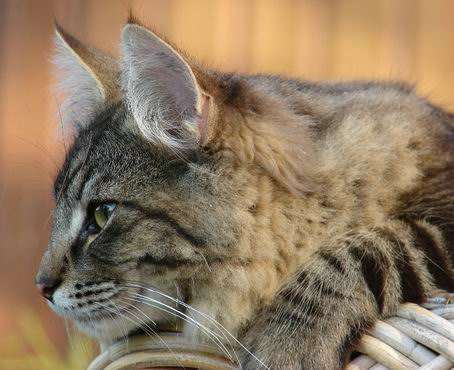 copyright: Birgit