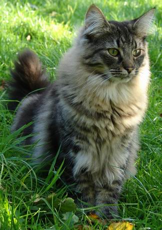 copyright: Birgit