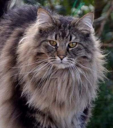 copyright: Birgit