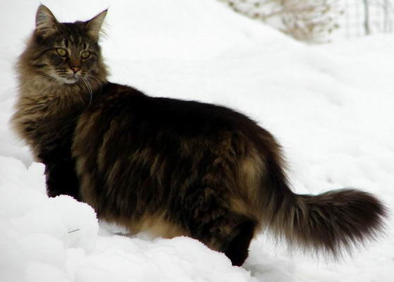copyright: Birgit