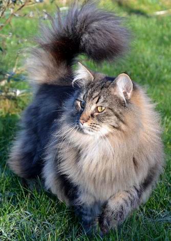 copyright: Birgit