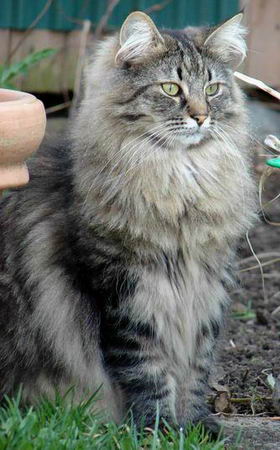 copyright: Birgit
