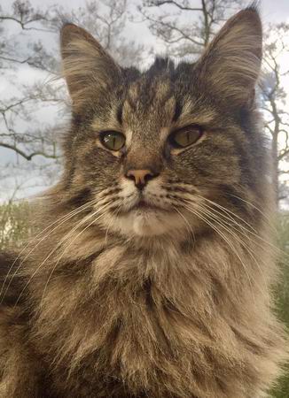 copyright: Birgit