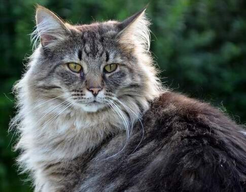 copyright: Birgit