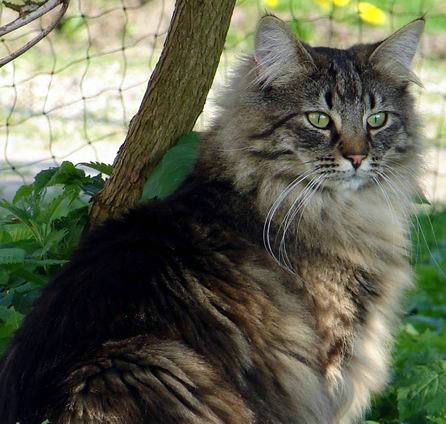 copyright: Birgit