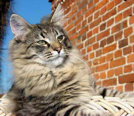 copyright: Birgit