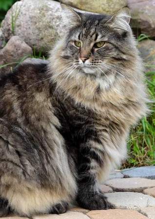copyright: Birgit