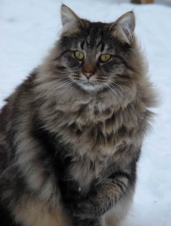 copyright: Birgit