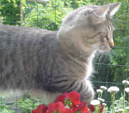 copyright: Birgit