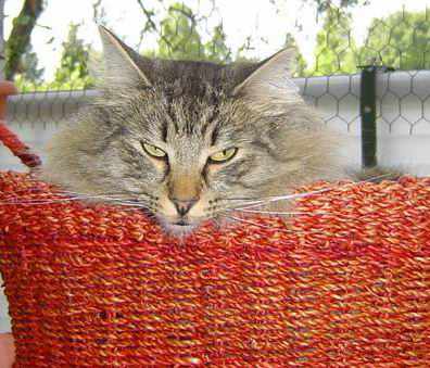 copyright: Birgit