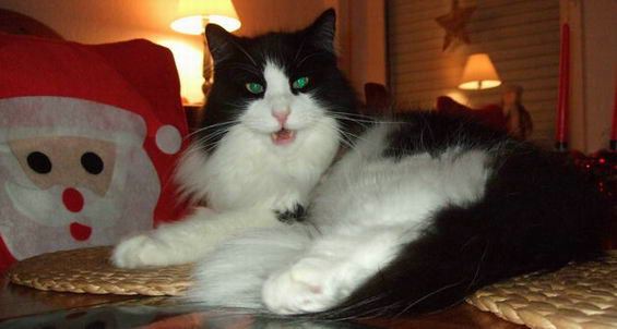 copyright: Birgit