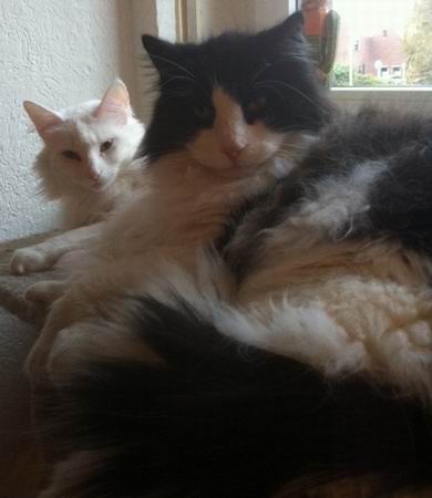 copyright: Birgit