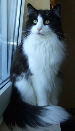 copyright: Birgit