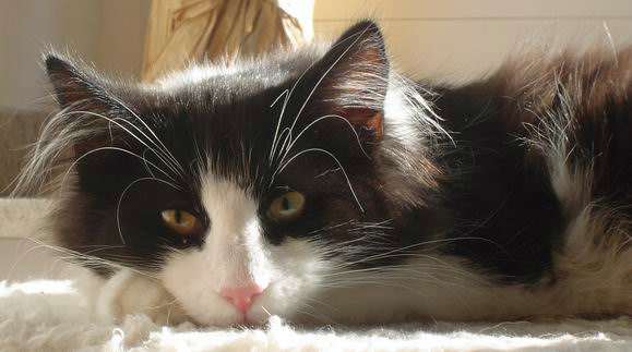 copyright: Birgit