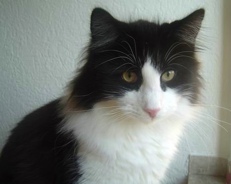 copyright: Birgit