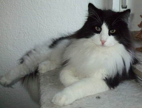 copyright: Birgit