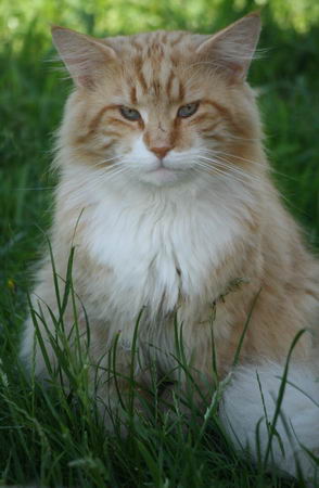copyright: Manuela Schimm
