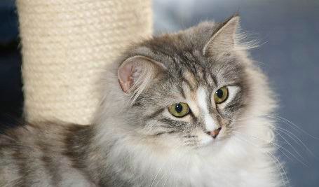 copyright: Monika H�ck