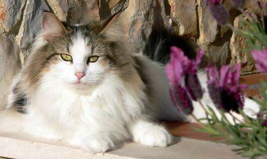 copyright: Teresa Santos