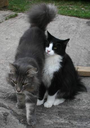 copyright: Rainer & Marion