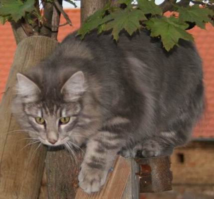 copyright: Rainer & Marion