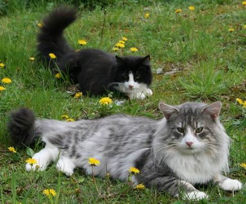 copyright: Rainer & Marion