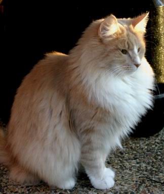 copyright: Ren�e Weissbach