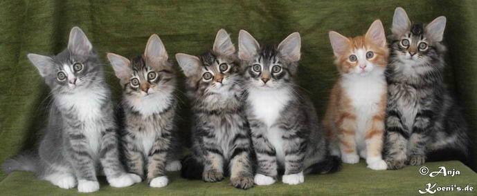 Tom, Tristan, Tabea, Theodor, Tornado & Taifun