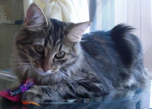 copyright: Michele & Orsola