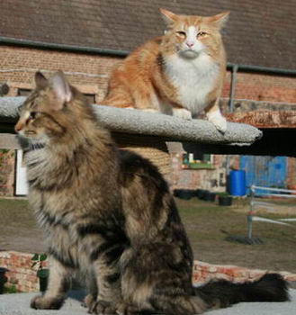 copyright: Rainer & Marion