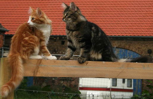 copyright: Rainer & Marion