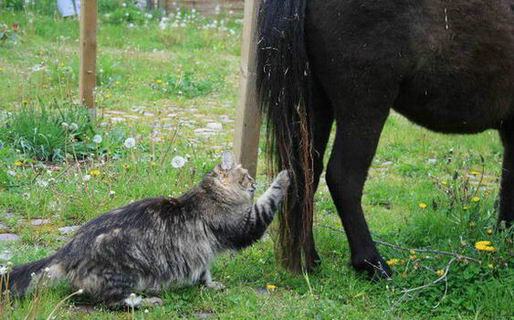 copyright: Rainer & Marion