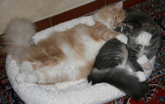 copyright: Ulrike & Ralf