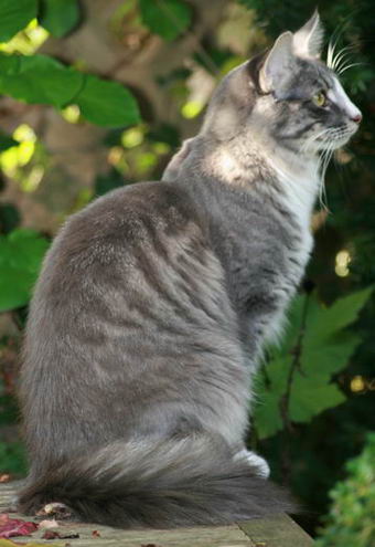 copyright: Ulrike & Ralf