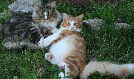 copyright: Rainer & Marion