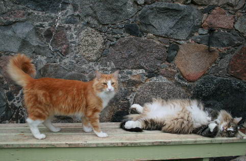 copyright: Rainer & Marion
