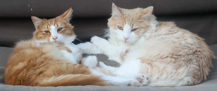 copyright: Rainer & Marion