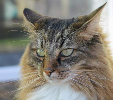 copyright: Wilma & Michael