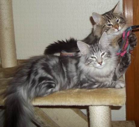copyright: Petra, Tanja & Thomas